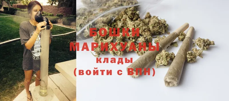 купить наркотик  Болохово  Бошки марихуана Ganja 